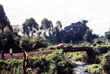 Jean Pierre Nicolas Jean