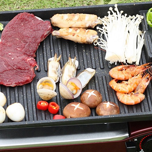 Grille poêle barbecue - grille,