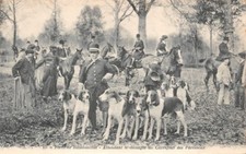 Forêt De Rambouillet - En attendant Le Tapis De Coupe Pour Croiser Le Paresseux
