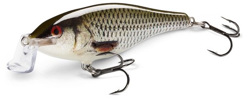 Rapala shallow shad - shad, rap