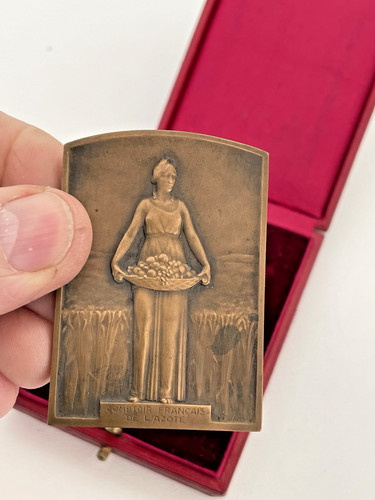 Médaille bronze delannoy - médaille,