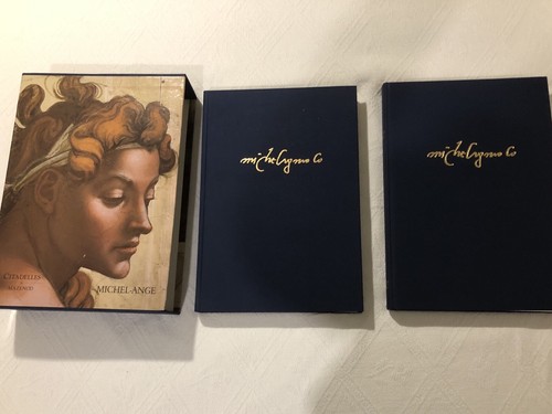 Livre michel ange - livre, michel-ange