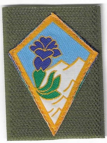 Insigne tissu patch militaire - tissu,,