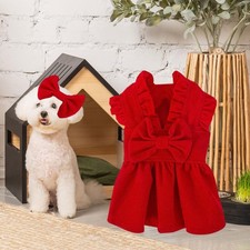 Tenue Festive pour Chiot