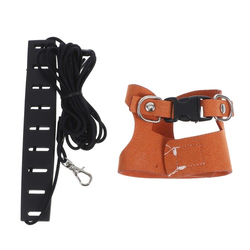 Laisse pour gilet animaux - pour,