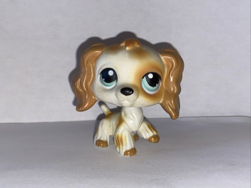 Petshop chien épagneul - petshop,