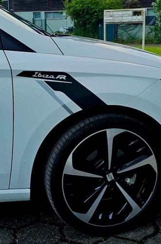 Stickers ailes - 2x,