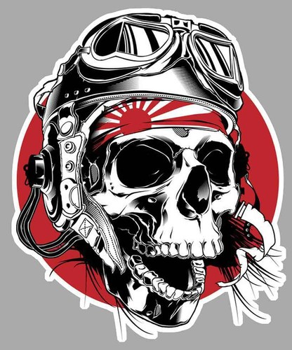 Tete mort drapeau japon - tete,