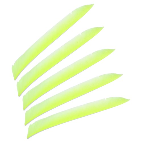 Flèches pour 50pcs plumes