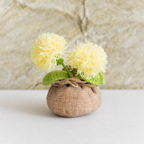 Plante for pot - plante, en