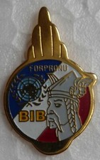 PIN'S MILITAIRE DU BATAILLON