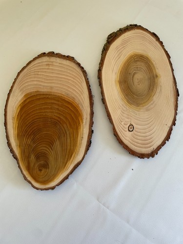 Plateaux bois cèdre - 2,