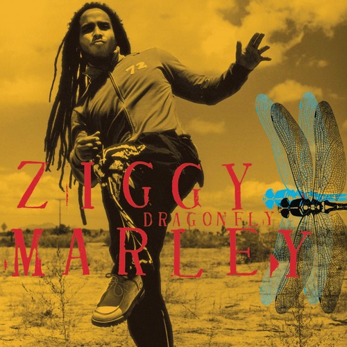 Dragonfly ziggy marley - (dvd),