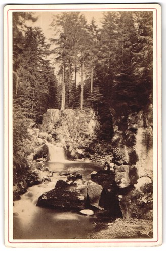 Photo braun cie - photo,