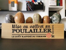 Boite de 11 oeufs de minéraux