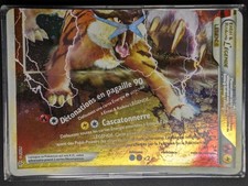 Carte Pokémon Entei & Raikou