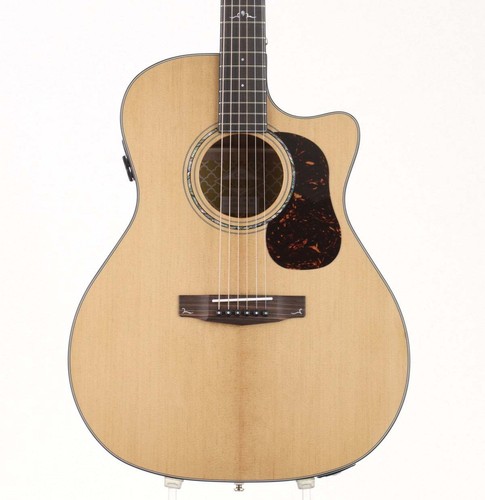 Cort gold series - gold, 2025