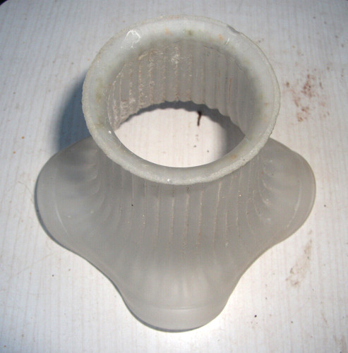 Tulipe abat jour - , en