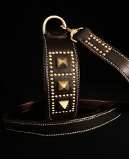 Collier pour chien » COLOSSE