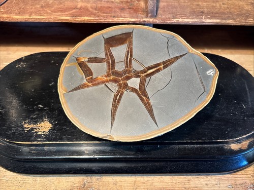 Septaria avec calcite lorraine - septaria,