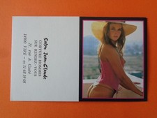 Calendrier poche pin up - calendrier, pin-up