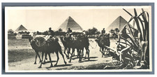 Egypte, Caravane de chameaux