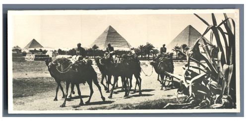 Egypte caravane chameaux - egypte,,