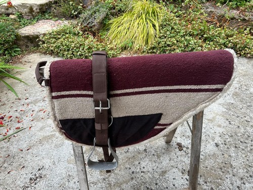 Tapis monte equitation - monte,
