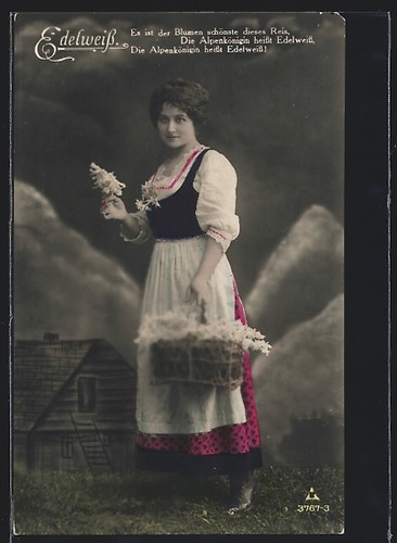 Carte postale photo