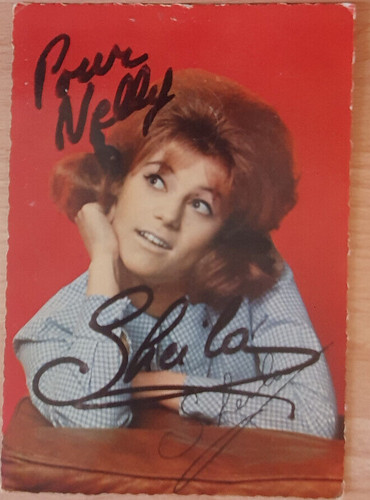 Rare carte postale sheila - carte,