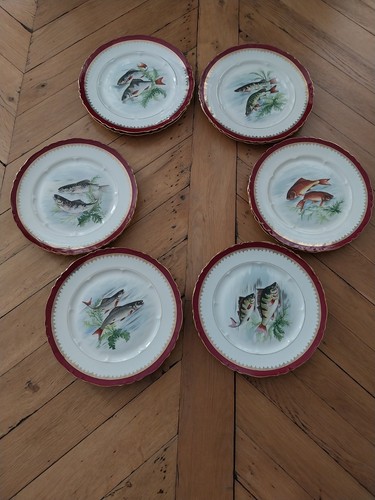 Service poisson porcelaine - poisson,
