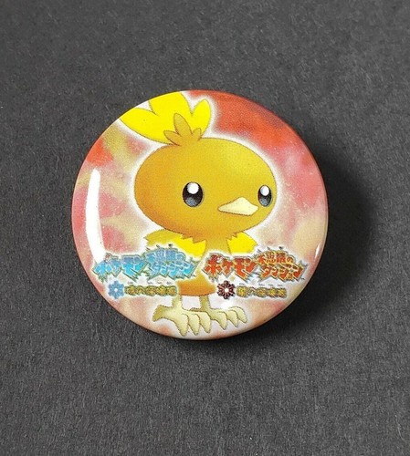Torchic pokemon mystery - pokemon,