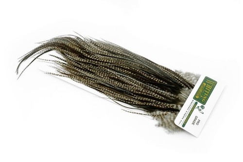 Whiting farms rooster hebert - rooster,