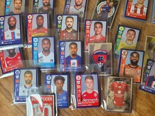 Panini Stickers (France) -