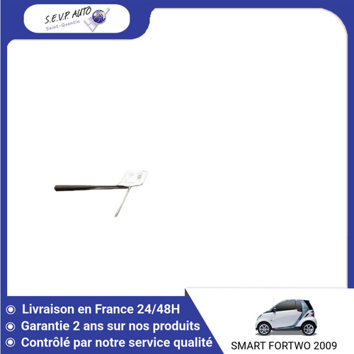Brin antenne smart - 🇫🇷,