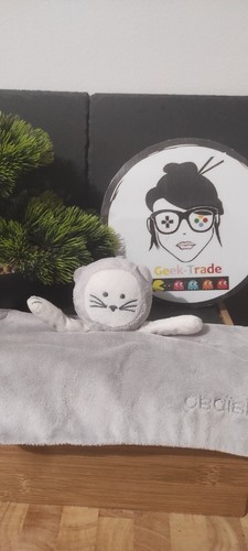 Obaibi doudou chat plat carré