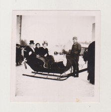 Chevaux calèches à neige