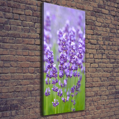 Tulup tableau sur - tableau,
