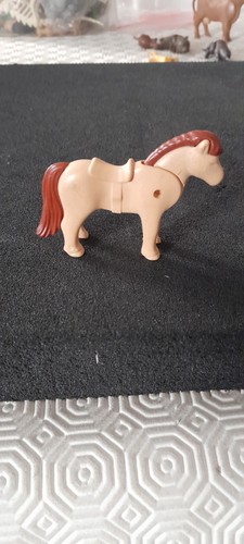 Animal poney centre - centre, equestre