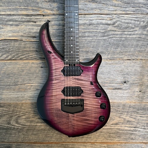 Ernie ball music man john - music,