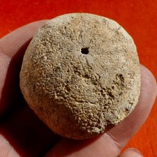 OURSIN FOSSILE MIOCÈNE DE LA DRÔME , ECHINOLAMPAS