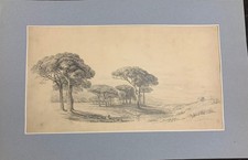 DESSIN ANCIEN , FUSAIN,  LAVIS