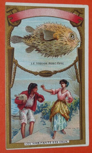 Chromo bon point - bon-point, ecole