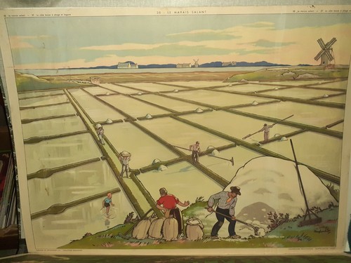 Affiche scolaire cote - scolaire, basse