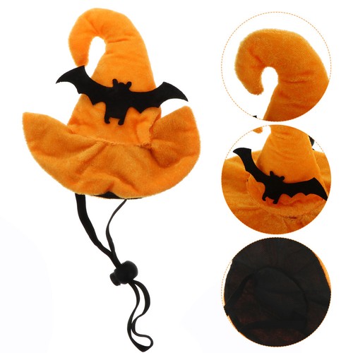 Chapeau chien halloween - chien, d'halloween