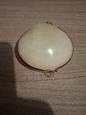 Boite Coquillage Laiton Pour