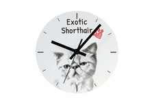Exotique à poil court horloge