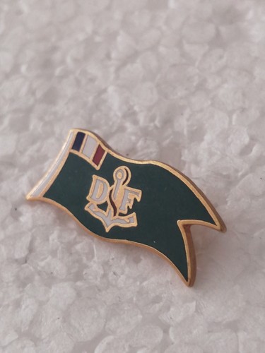 Pin pins - pin's,