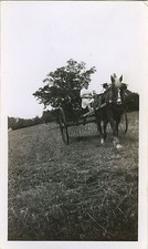 PHOTO ANCIENNE - VINTAGE