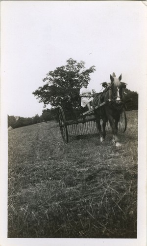 Photo ancienne vintage - -,
